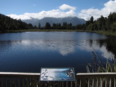 IMG_3884.jpg