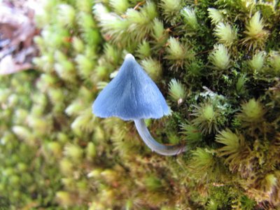 IMG_3935.jpg