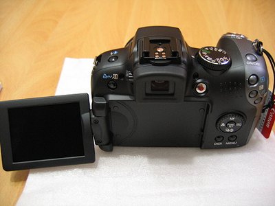 IMG_3440.jpg
