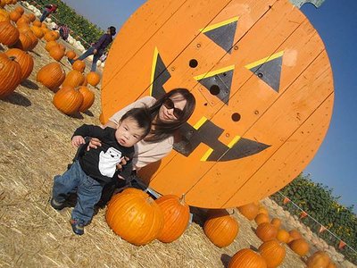 Spina Farms Pumpkin Patch (21)