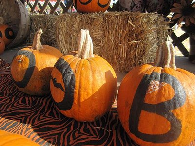 Spina Farms Pumpkin Patch (39)