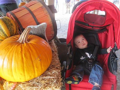 Spina Farms Pumpkin Patch (40)