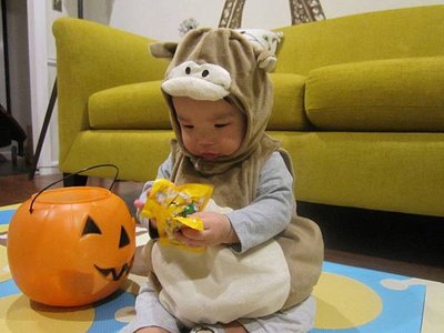 Miso&apos;s First Halloween (9).JPG