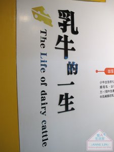IMG_4135_结果.JPG