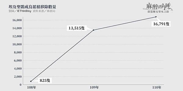 埃及聖䴉-外來入侵種襲台出動獵人射殺/埃及聖䴉，黑色嘴巴像尖