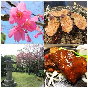 桃園推薦好吃的美食小吃、餐廳、旅遊景點-懶人包