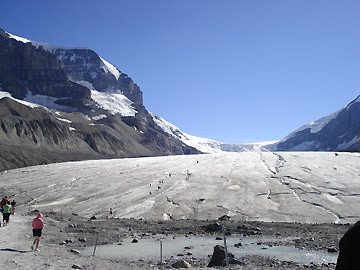 IceFiled Columbia