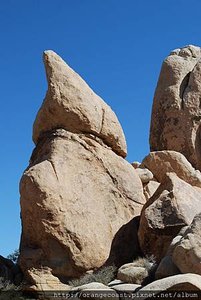Palm Springs 351
