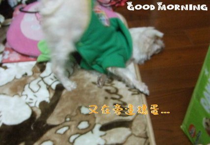 DSCF1258.JPG