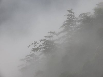 與大雪山森林的初相遇