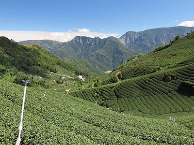 草嶺憶遊系列（二）五元二角