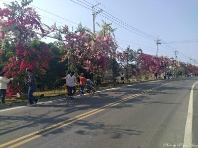 batch_IMG_20210314_151250