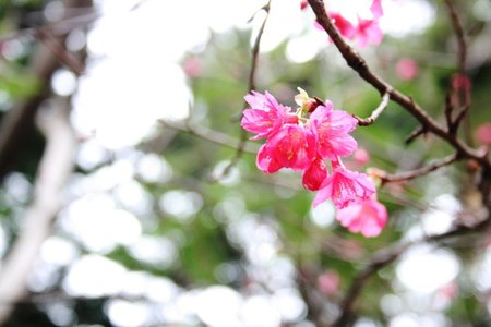 照片 081.jpg