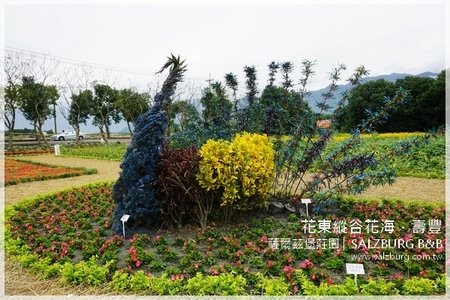 花蓮民宿