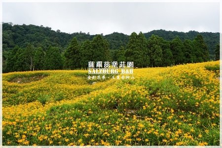 花蓮民宿