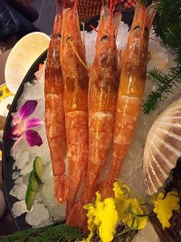IMG_0590.JPG