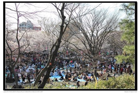 蠍家族旅遊-東京賞櫻 Day4-九段下、靖國神社、千鳥之淵、