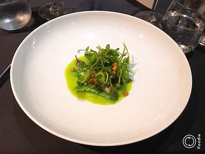 S__8126501.jpg