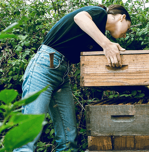 (草稿中) 馥癒｜英國凱特王妃御用保養成分「蜂毒、蜂蠟」—溫