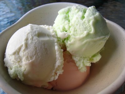 20090819-098.JPG