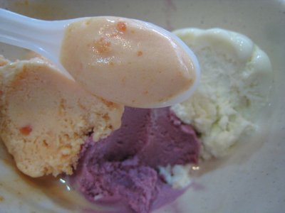 20090820-05.JPG