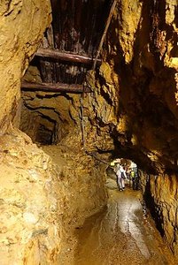 【2023/09日本東北-鹿角｜千年礦坑遺址｜比內地雞親子丼