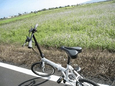 鯉魚潭、七星潭兩潭自行車道踏查記錄04-城中二街到道班休息站