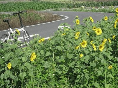 鯉魚潭、七星潭兩潭自行車道踏查記錄04-城中二街到道班休息站