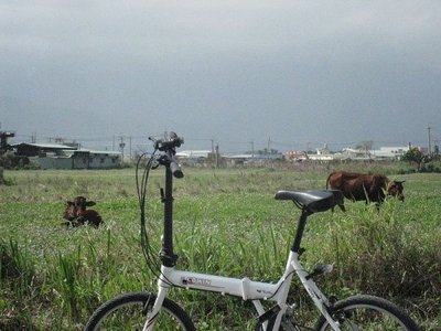 鯉魚潭、七星潭兩潭自行車道踏查記錄06-花蓮溪出海口到榮光社