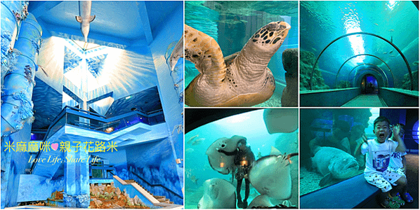 澎湖水族館, 澎湖全新開幕室內親子景點,澎湖 海底隧道, 澎湖 海龜