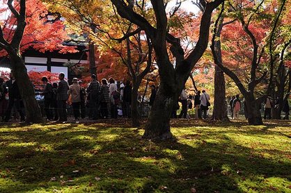 東福寺-08.jpg