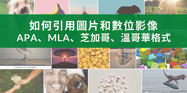 【學術寫作】如何引用圖片和數位影像：APA、MLA、芝加哥、