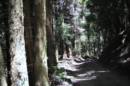 小編還是要提醒大家不要孤身一人到偏僻地方騎車，會發生什麼事大家都不知道