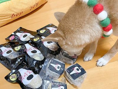 cltpetfood shibawoody-05