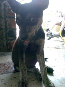 2010-09042.jpg