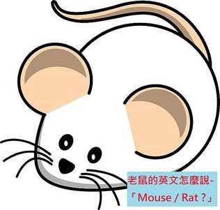 老鼠的英文怎麼說- 「Mouse / Rat ?」