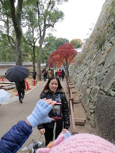 p145602877574.jpg