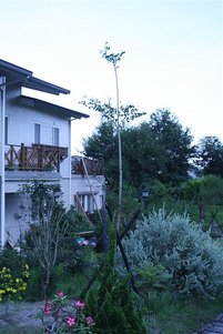 20100802 202.jpg