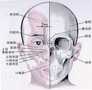 睛明穴.jpg