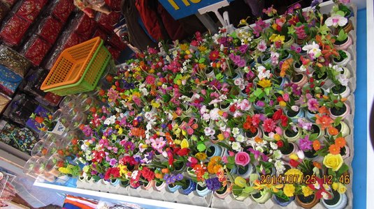 IMG_4251