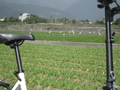 鯉魚潭、七星潭兩潭自行車道踏查記錄04-城中二街到道班休息站