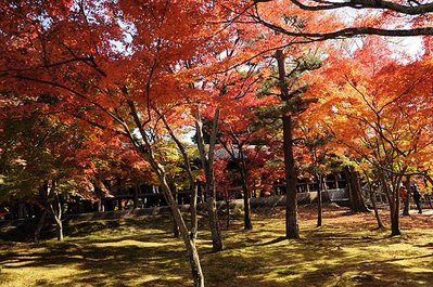 東福寺-06.jpg