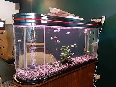 西區 激浪特攻本部 この野郎 6