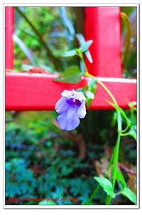 2016-08-06-108