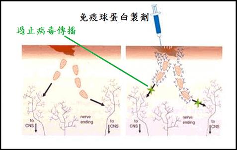 未命名.png