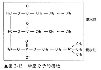 p19-3.JPG