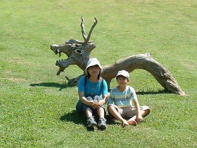 盒子&amp;兒子
