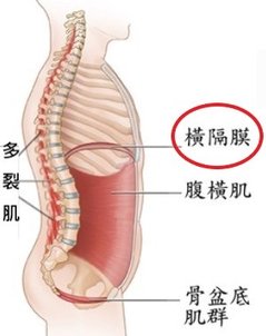 螢幕快照-2018-06-27-上午1.16.35.jpg