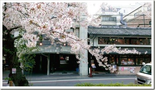 SJShih_201304_Kyoto_M_0010