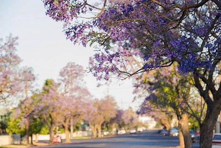 DSC_9521.jpg